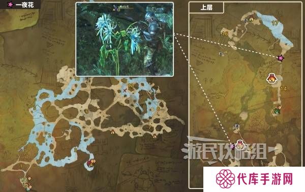 怪物猎人荒野一夜花的月华粉位置及获取途径一览图片4