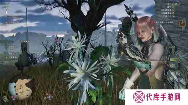 怪物猎人荒野金之炼金票怎么得-怪物猎人荒野金之炼金票无限刷取教程