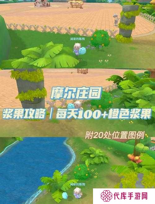 摩尔庄园手游拍照技巧分享，资源管理的艺术