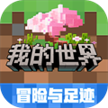 我的世界1.16.0.64手机版