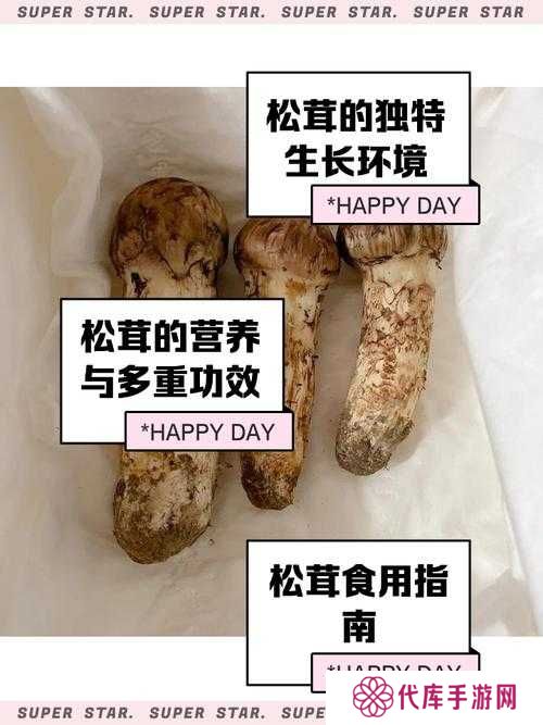 小森生活松茸位置及刷新时间一览的演变史专题