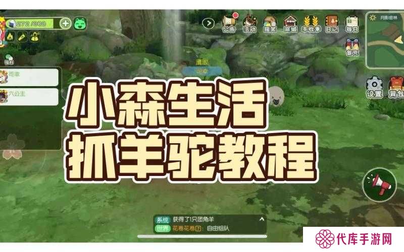 小森生活彩虹羊驼刷新时间位置及捕捉方法全攻略