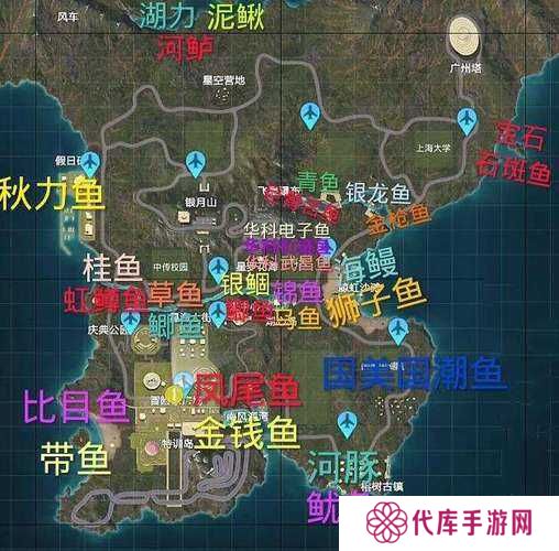 小森生活鱼类分布位置及钓鱼点大全