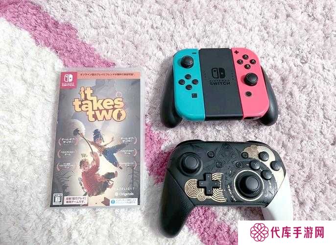 双人成行学习版手柄问题解决攻略在资源管理中的重要性及高效应用