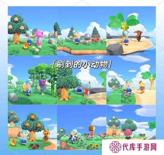 小森生活动物资源获取方法分享，底层逻辑与操作映射全攻略