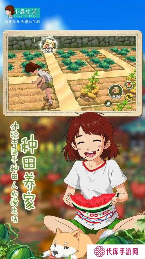 小森生活快速赚钱攻略