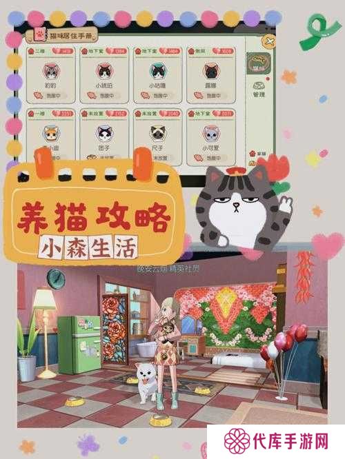 小森生活，解锁第二只猫咪的温馨领养指南