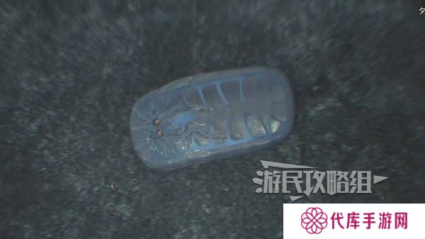怪物猎人荒野大虚无动在哪捕获    大虚无动捕获攻略图片8