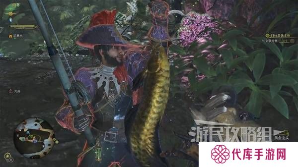 怪物猎人荒野黄金鱼怎么钓    钓黄金鱼位置一览图片6