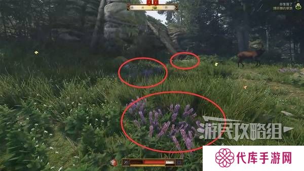 天国拯救2图文攻略大全   所有任务全流程攻略总汇图片29