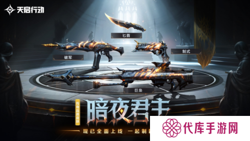 天启行动11