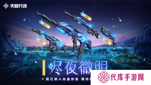 天启行动12